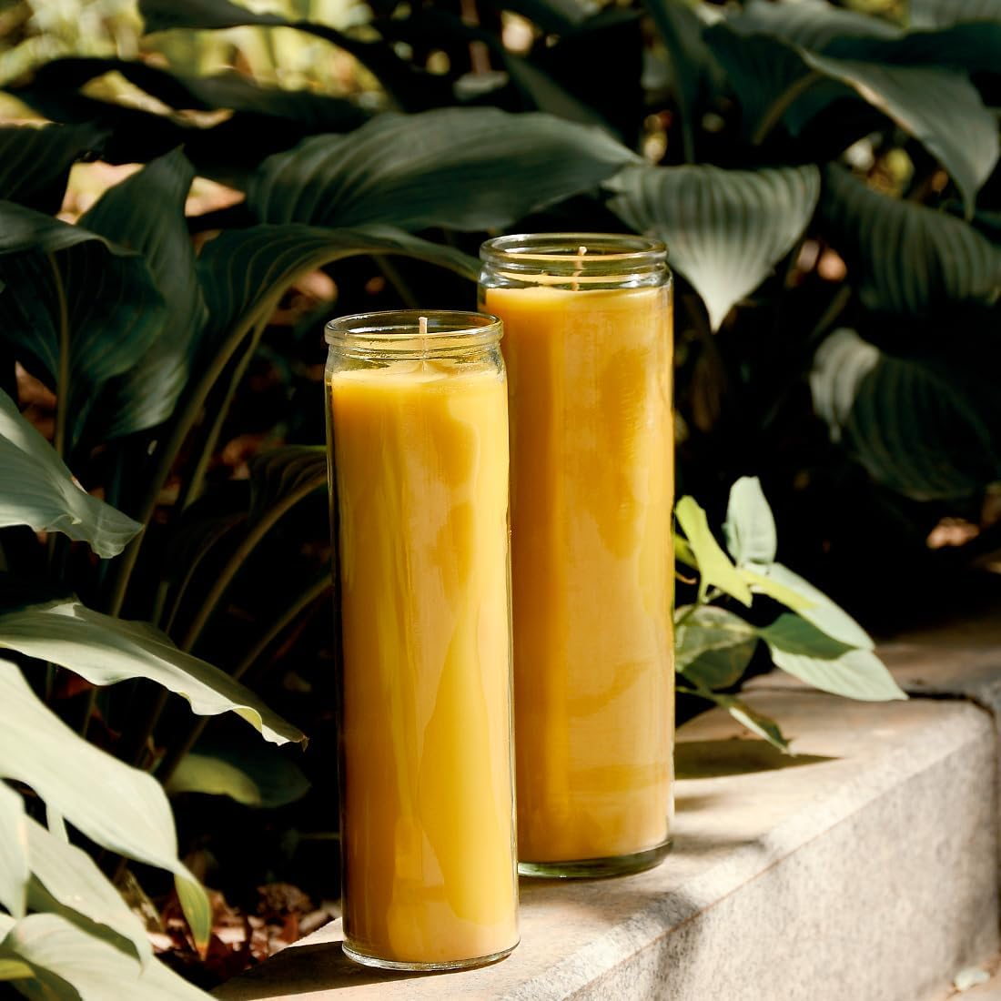 7 Day Beeswax Yartzeit Candle-Kosher Yahrtzeit Memorial and Yom Kippur Candle in Glass Jar